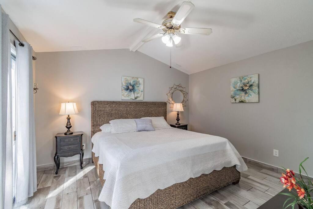 坦帕Town 'N' Country Cozy Corner, Your Florida Fun Hub别墅 外观 照片